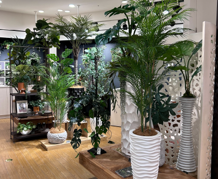 阪急うめだ本店（BIOPHILIA SHOP隣接）